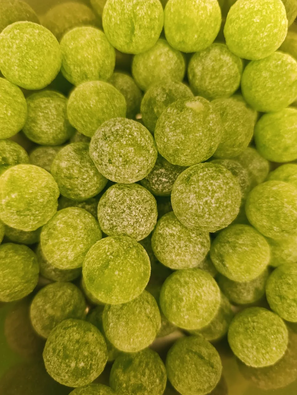 Mega sour candy pomme